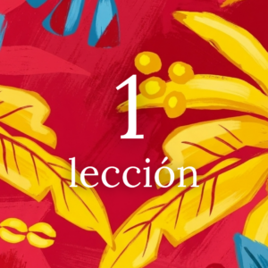 1 lekcja